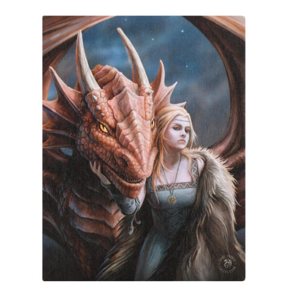 19x25cm Friend or Foe Canvas Plaque by Anne Stokes