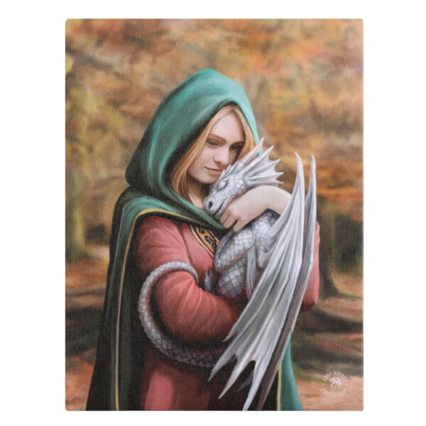 19x25cm Safe Haven Canvas Plaque by Anne Stokes